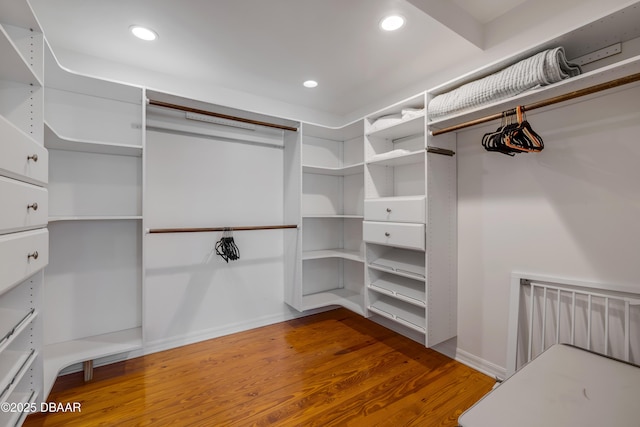walk in closet with wood finished floors