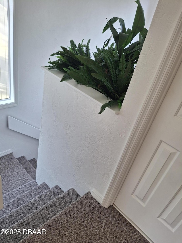 room details with carpet