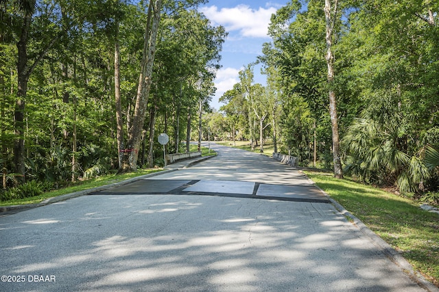 218 Briarfield Ct, Ormond Beach, FL 32174 - view of asphalt road featuring curbs and traffic signs