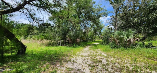 view of landscape