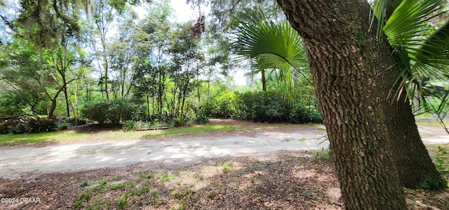 711 Sunset Ave, Orange City, FL 32763 - photo 39