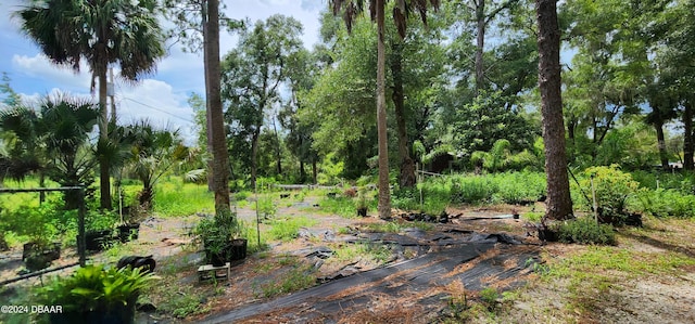 711 Sunset Ave, Orange City, FL 32763 - photo 40