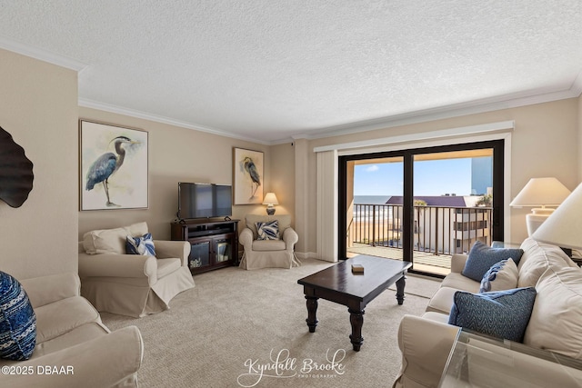 living room featuring crown molding, carpet, and a textured ceiling