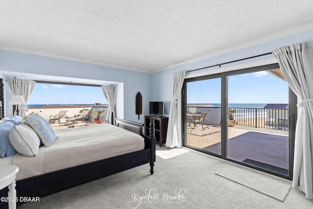 bedroom featuring a textured ceiling, multiple windows, and access to outside