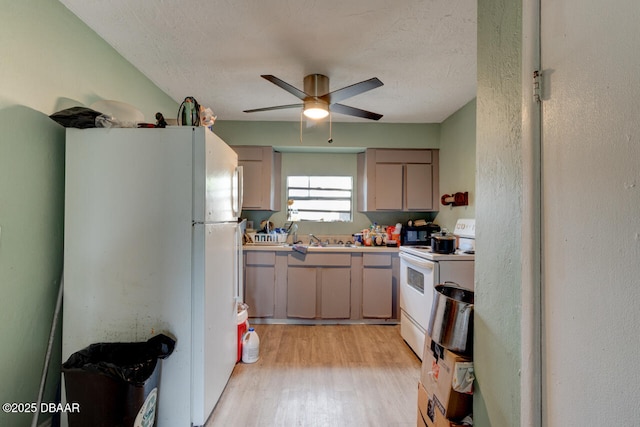 326 Jefferson St, Daytona Beach, FL 32114 - kitchen featuring white appliances, a sink, light wood-style floors, ceiling fan, and a textured ceiling