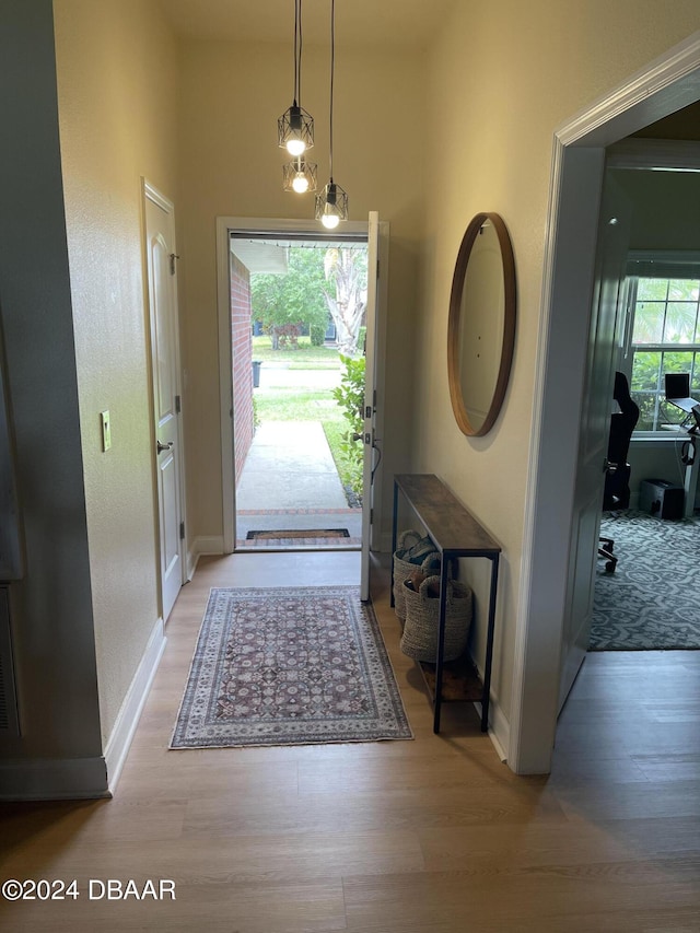 entrance foyer with light wood-type flooring