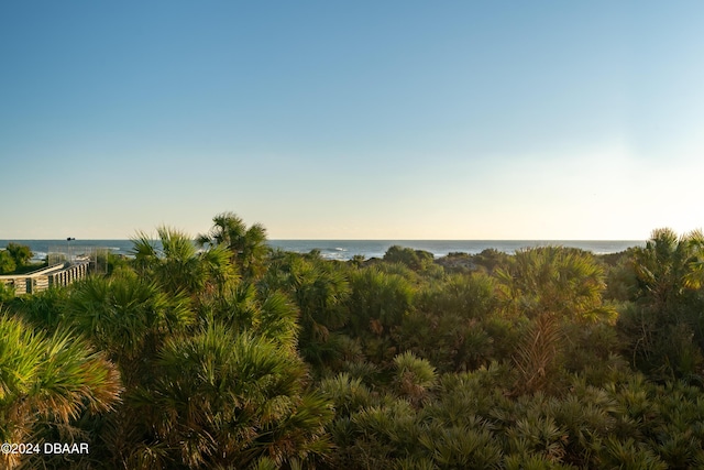 view of landscape featuring a water view