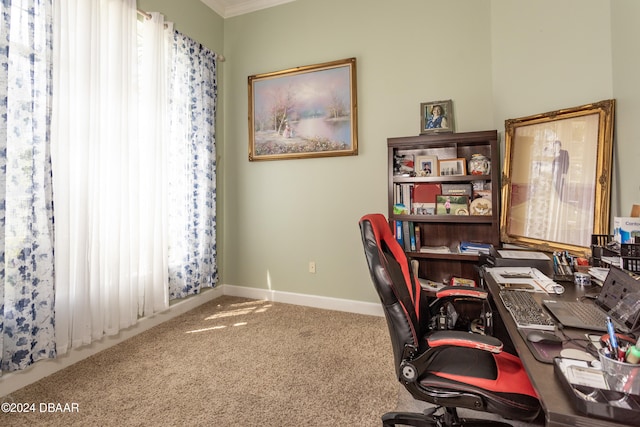 carpeted office featuring crown molding and a wealth of natural light