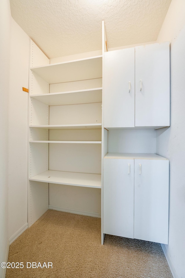spacious closet featuring carpet flooring
