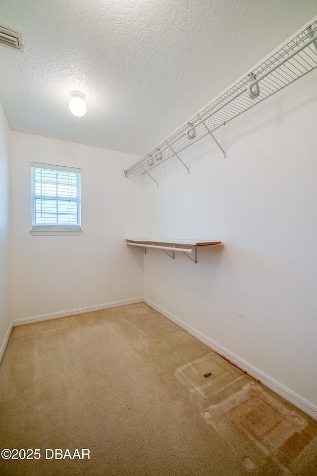 walk in closet featuring carpet floors and visible vents
