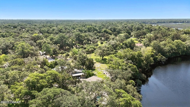 6080 Hensel Rd, Port Orange, FL 32127 - photo 11