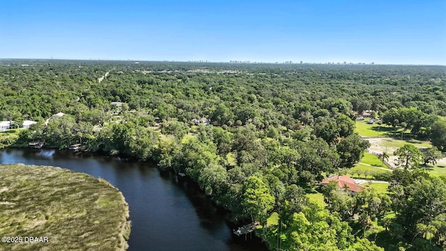 6080 Hensel Rd, Port Orange, FL 32127 - photo 4