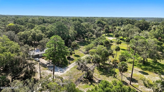 6080 Hensel Rd, Port Orange, FL 32127 - photo 9