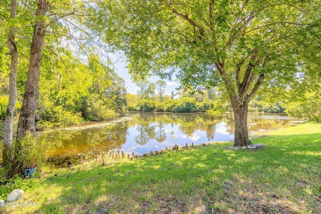 3836 Long Grove Ln, Port Orange, FL 32129 - water view featuring a heavily wooded area
