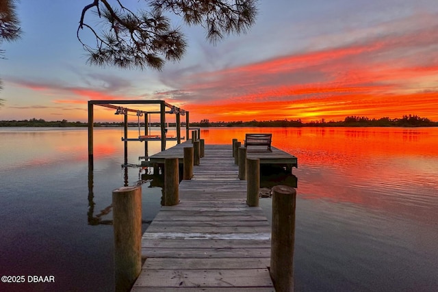 dock area with a water view