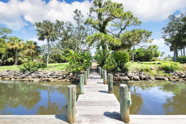 view of dock area