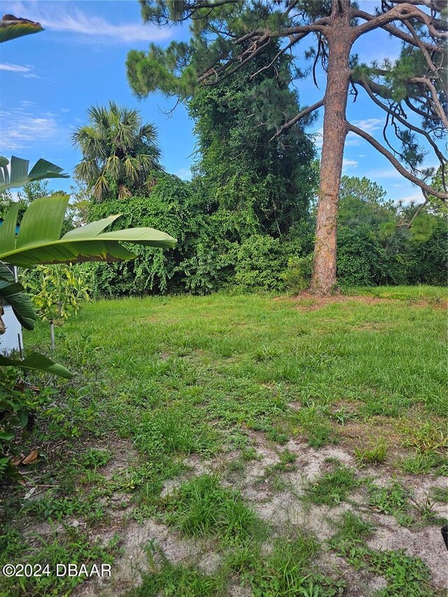 401 Cherry St, South Daytona, FL 32119 - photo 5