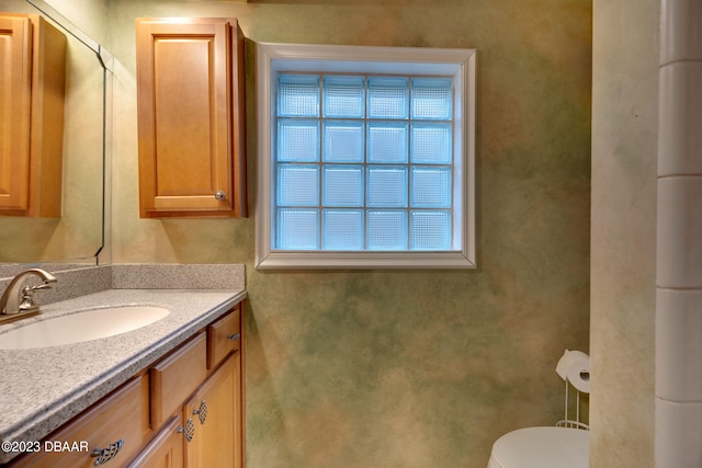 bathroom with toilet and vanity