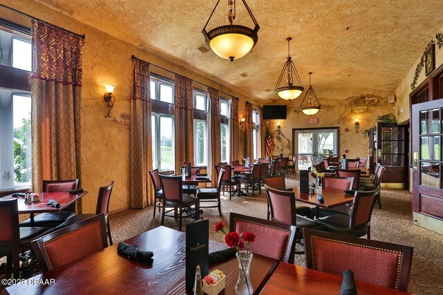 3417 Medici Blvd, New Smyrna Beach, FL 32168 - dining room with carpet floors, healthy amount of natural light, and vaulted ceiling