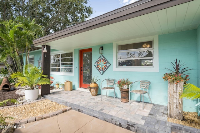 340 Socrates Dr, Dunedin, FL 34698 - photo 5