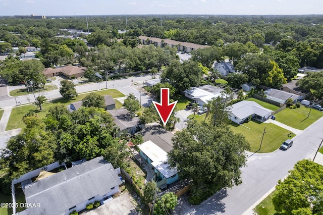 340 Socrates Dr, Dunedin, FL 34698 - photo 35