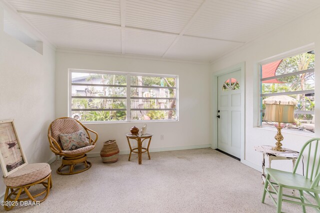 340 Socrates Dr, Dunedin, FL 34698 - photo 23