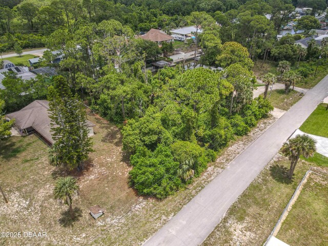 0 Azalea Rd, Edgewater, FL 32141 - photo 4