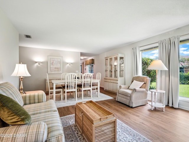 257 Sweet Bay Ave, New Smyrna Beach, FL 32168 - living room featuring plenty of natural light and wood finished floors
