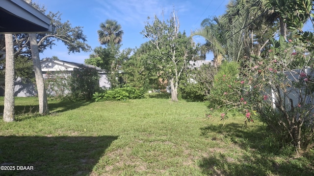 179 Ponce De Leon Dr, Ormond Beach, FL 32176 - view of grassy yard
