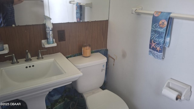 179 Ponce De Leon Dr, Ormond Beach, FL 32176 - bathroom with toilet and a sink