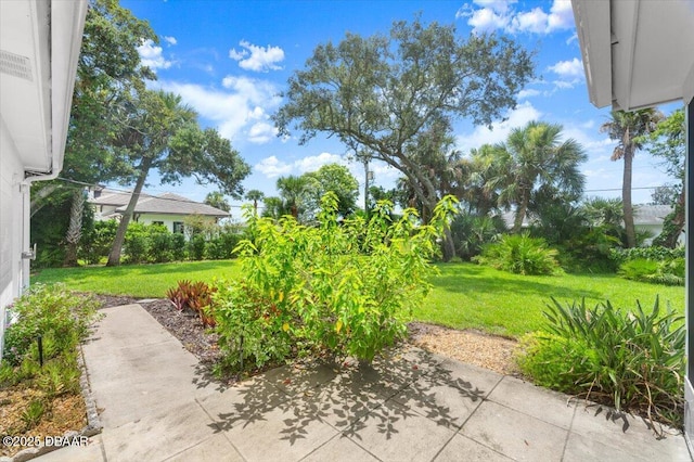 36 Dresden Cir, Ormond Beach, FL 32174 - photo 32