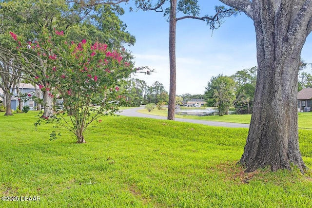 156 Kingbird Cir, Daytona Beach, FL 32119 - photo 24