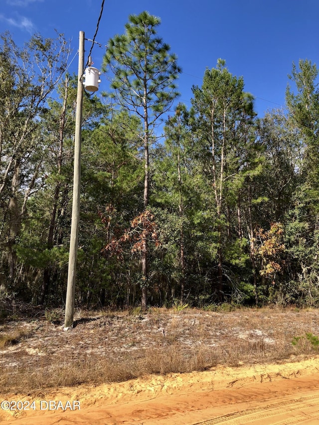 411 Del Monaco Ave, Interlachen FL, 32148 land for sale