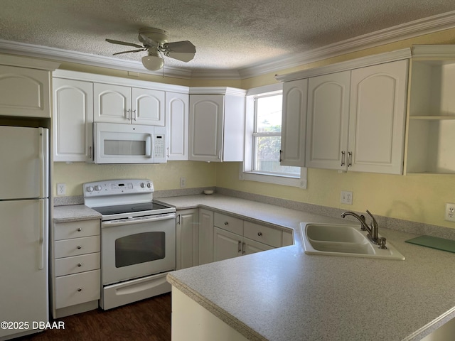 660 S Ridgewood Ave, Ormond Beach, FL 32174 - kitchen with white appliances, crown molding, a textured ceiling, light countertops, and a ceiling fan