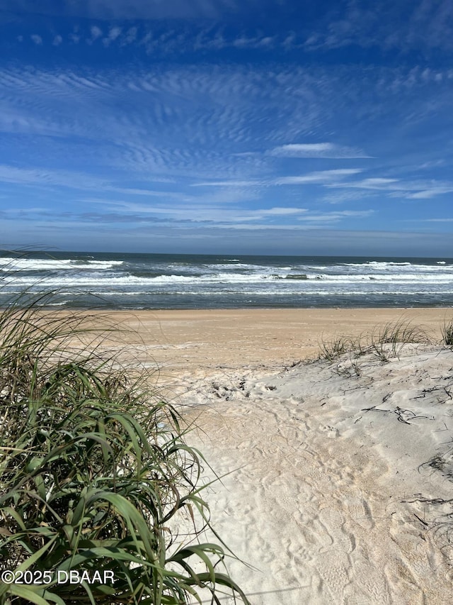 water view with a view of the beach