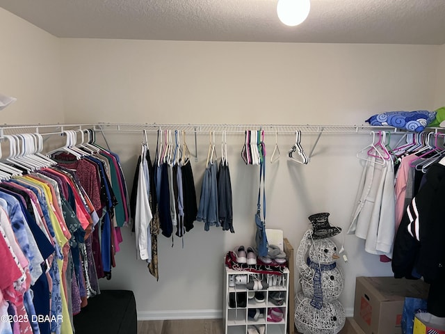 spacious closet with hardwood / wood-style floors