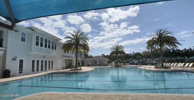 view of pool featuring a patio