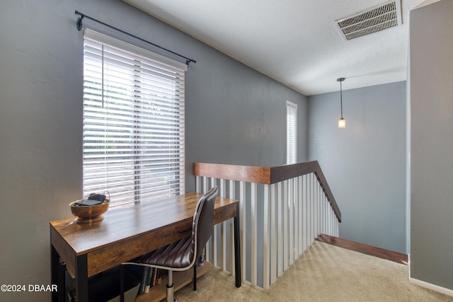 office space featuring light colored carpet