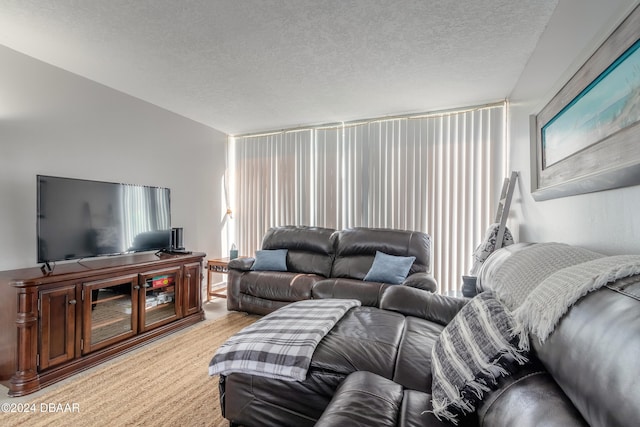 living room featuring a textured ceiling