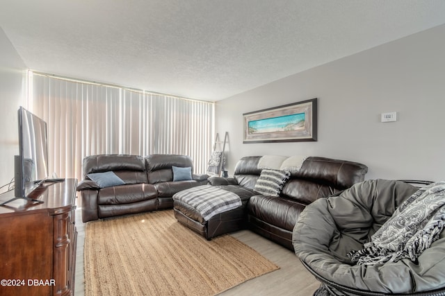 living room with light wood-type flooring and a textured ceiling