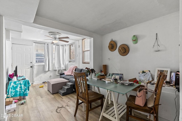 dining area with light hardwood / wood-style floors and ceiling fan