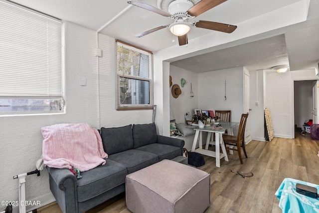 living room featuring ceiling fan, plenty of natural light, and light hardwood / wood-style floors