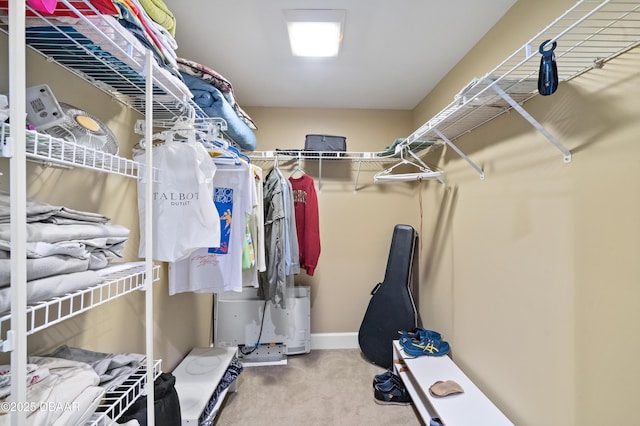 spacious closet featuring carpet floors