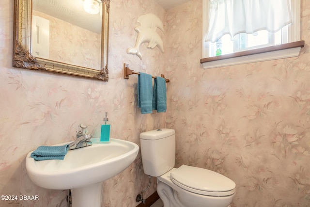 bathroom featuring toilet and sink