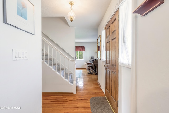 entrance foyer with wood-type flooring