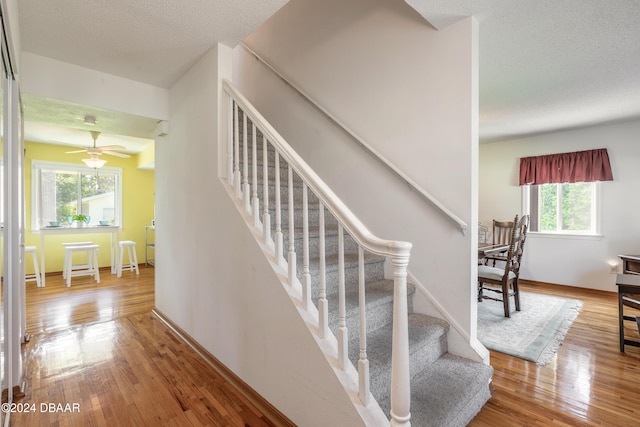 staircase with hardwood / wood-style floors, a textured ceiling, and a wealth of natural light