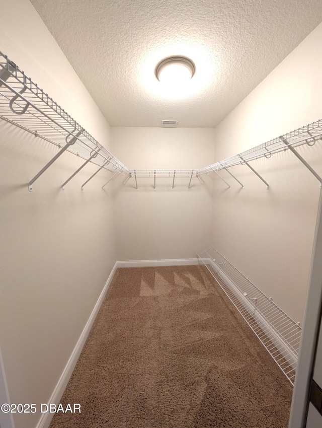 walk in closet featuring carpet and visible vents