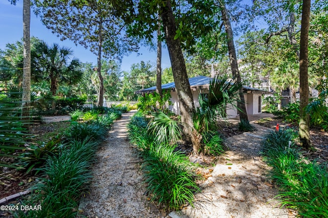 640 N Nova Rd Unit 104, Ormond Beach, FL 32174 - view of yard