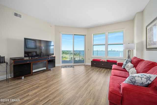 living room with hardwood / wood-style flooring