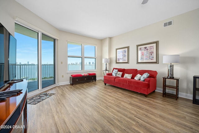 living room with hardwood / wood-style floors